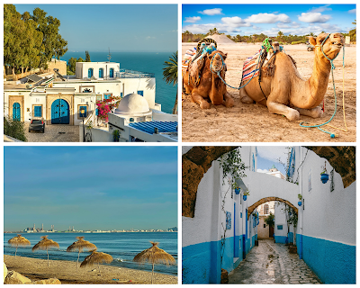 🇹🇳 Visiter Tunis, Sidi Bou Saïd et Carthage pour moins de 30€ par jour : mon guide low-cost