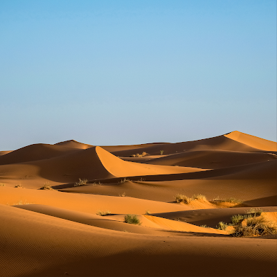 🇹🇳  Tozeur et les portes du désert en mode routard : comment voir le Sahara sans agence